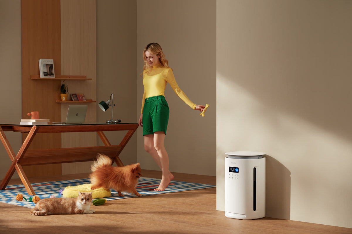 Why Is My Air Purifier Not Removing Pet Odors?
