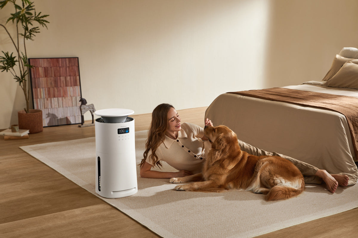 How to Choose an Air Purifier for Your Room Size