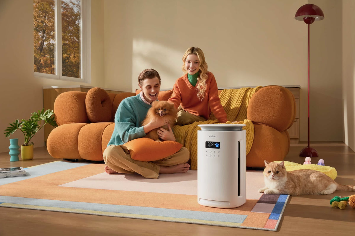 Pawtent air purifier in a pet home detail view 4