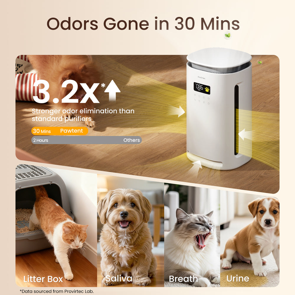 Pawtent pet and household odor control
