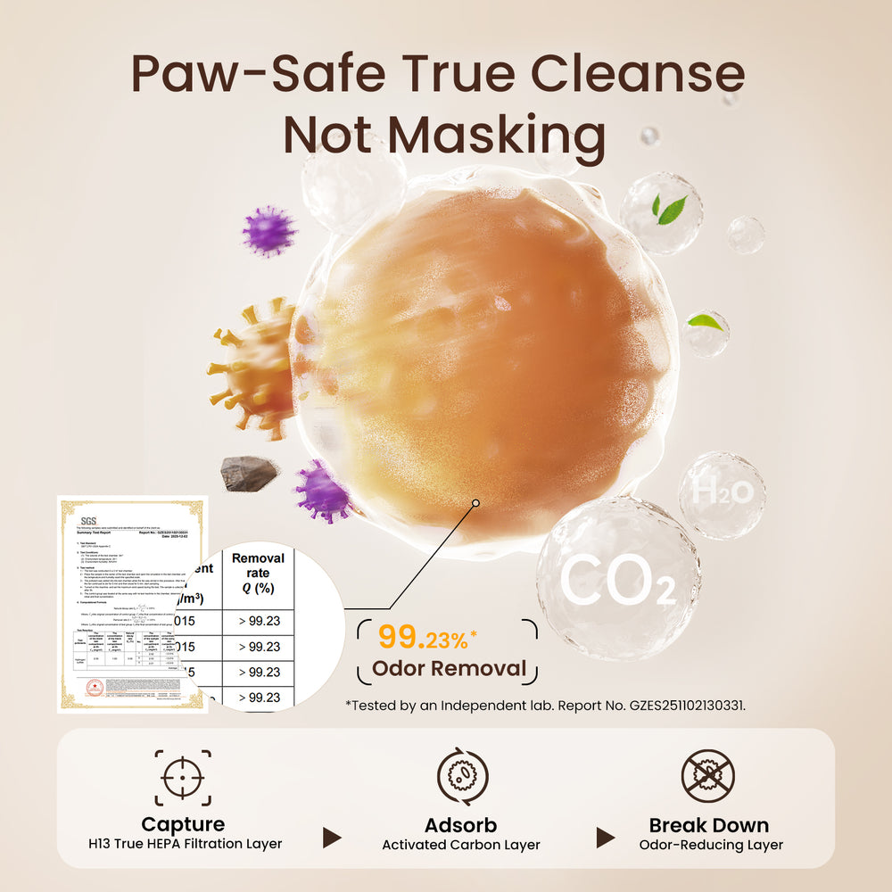 How the enzyme odor layer helps break down captured odor compounds