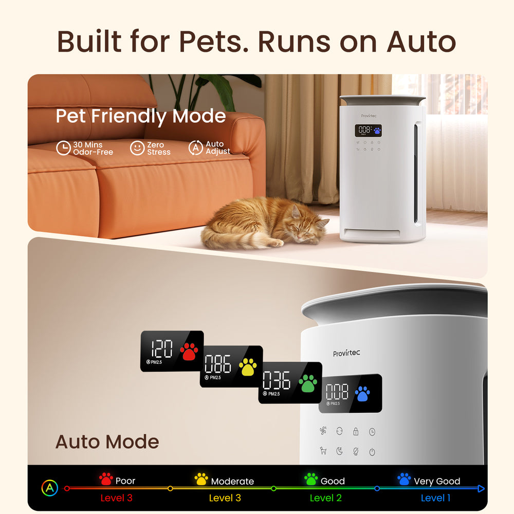 Pawtent Auto Mode responds as PM2.5 conditions change