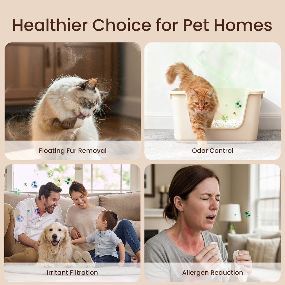 Four common air-quality concerns in pet homes