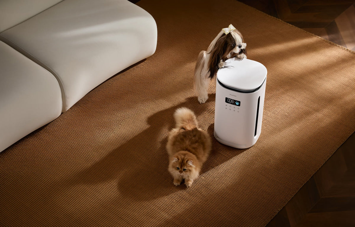 Pawtent Pro air purifier in a pet home detail view 2