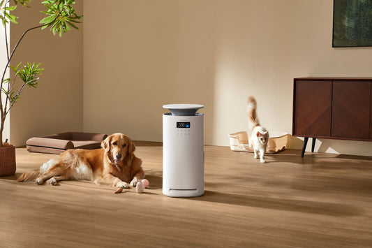 Pawtent Ultra air purifier in a pet home