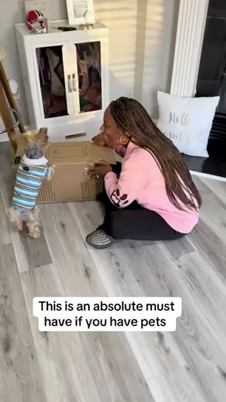 Everyday Pawtent moments with pets