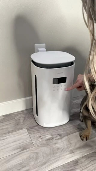 Pawtent care in a real pet home