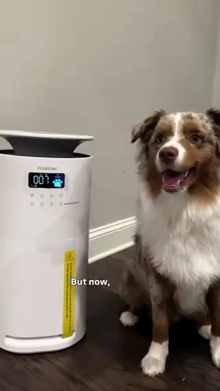 AirSense™ Pro in a real pet home