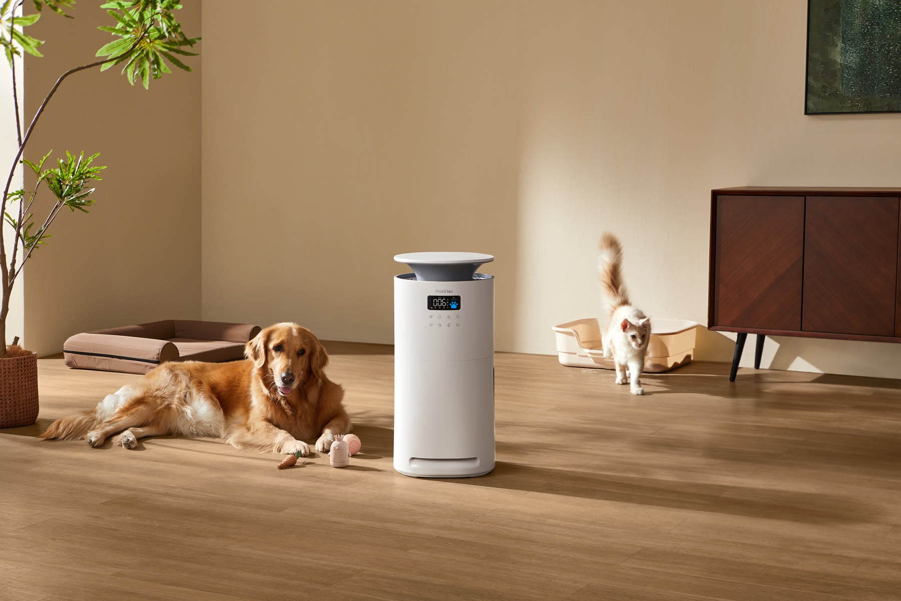 Pawtent Ultra air purifier in a pet home